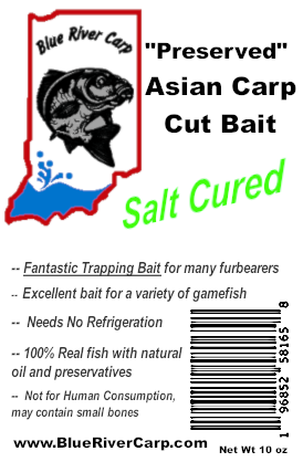 Salted / Salt Cured